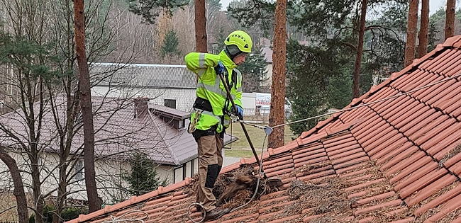 Professional Gutter & Eavestrough Cleaning