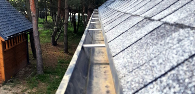 Professional Gutter & Eavestrough Cleaning